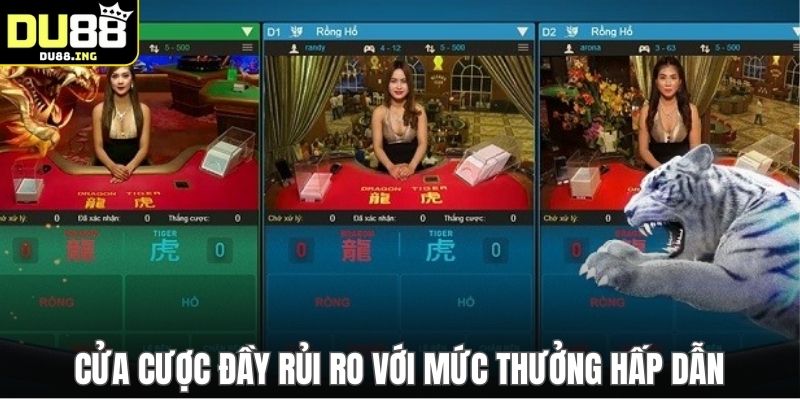 Cửa cược đầy rủi ro với mức thưởng hấp dẫn