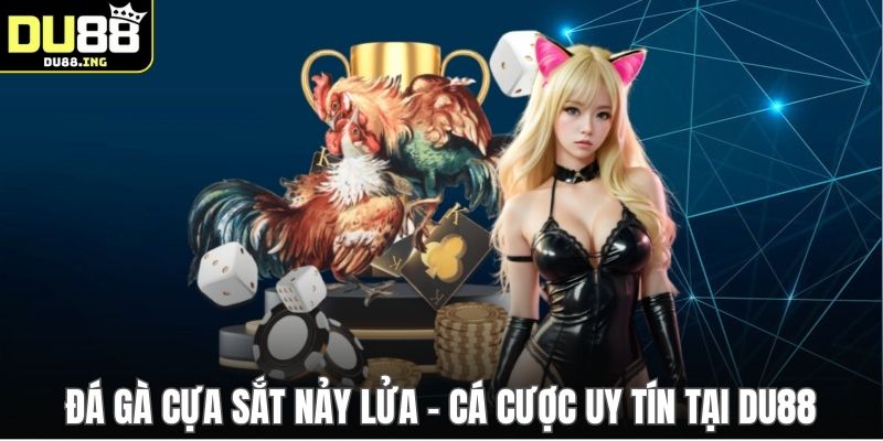 Đá Gà Cựa Sắt Nảy Lửa - Cá Cược Uy Tín Tại DU88
