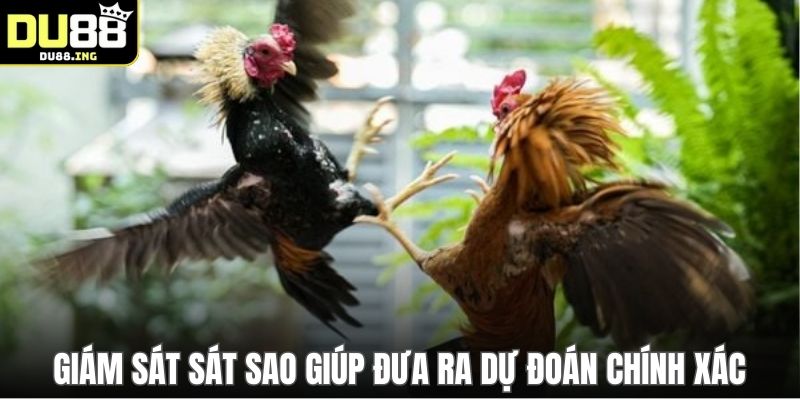 Giám sát sát sao giúp đưa ra dự đoán chính xác