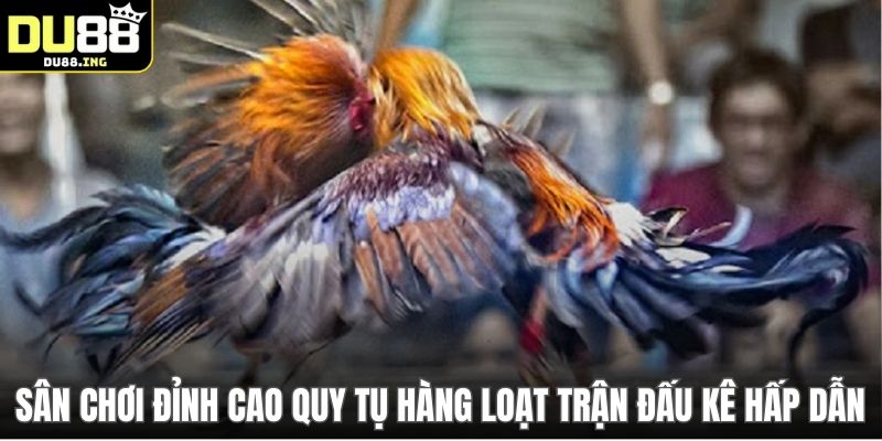 Sân chơi đỉnh cao quy tụ hàng loạt trận đấu kê hấp dẫn